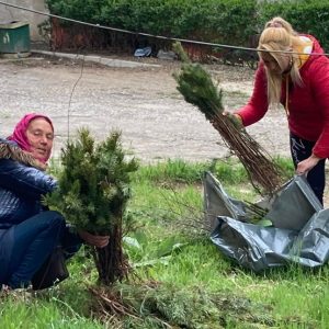 „Гората.бг” подари 500 дръвчета на жителите на община Червен бряг