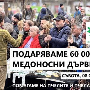 Тази събота: Гората.бг подарява 60 хиляди дръвчета в Плевен