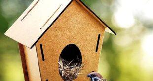 С къщички за птици в град Левски отбелязват Деня на Земята